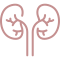 Dietoterapia w&nbsp;chorobach nerek ikona
